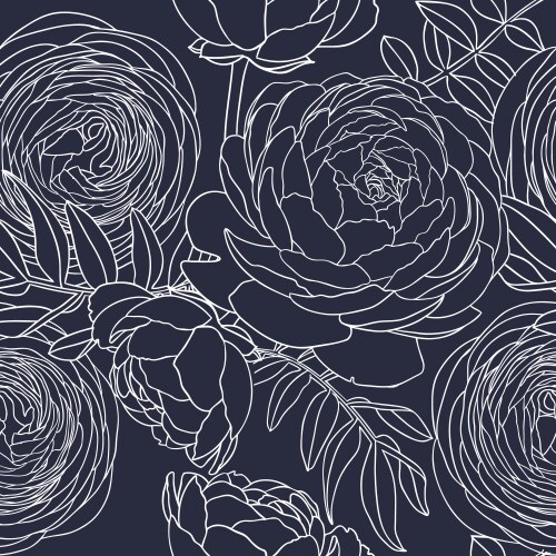 line art ranunculus background abstract vector