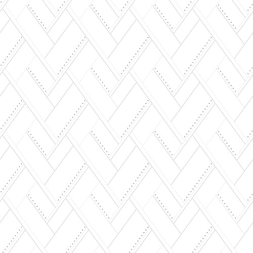 Light monochrome seamless pattern web backdrop vector image