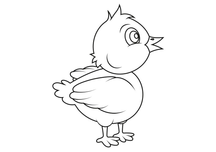Cute Cartoon Baby Chicken Vector Image