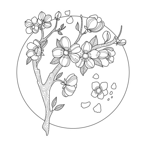 Cherry Blossom Branch Vector Image