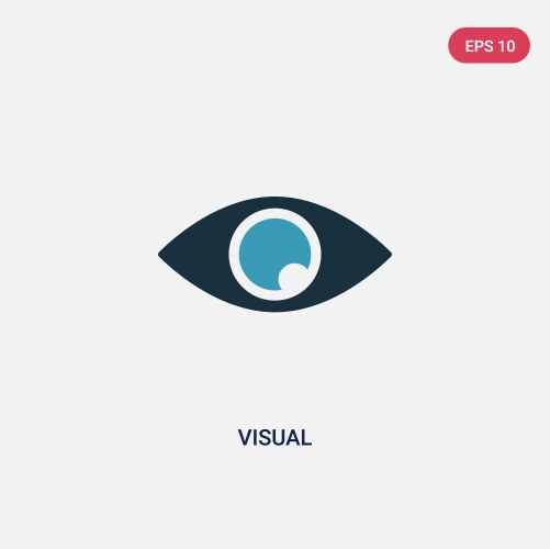 Two color visual icon from user interface concept vector image