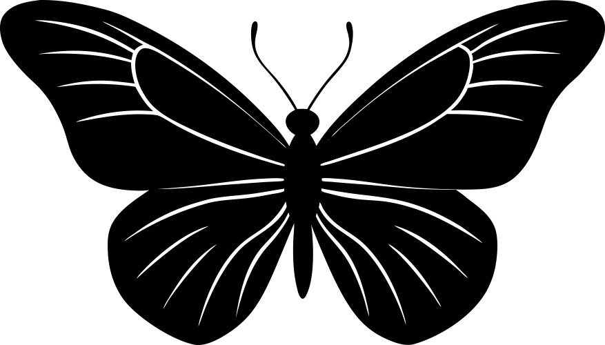 Insect Body Parts Vector Images (over 420)
