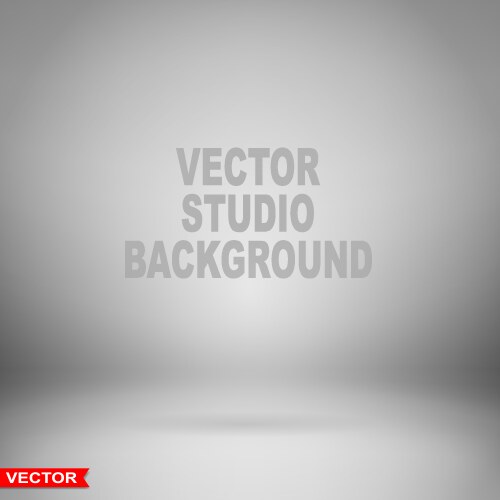 Empty gray studio background with spotlights Vector Image