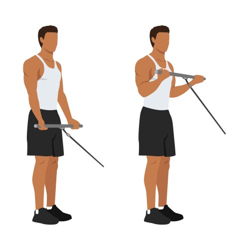 Man doing reverse barbell curl flat Royalty Free Vector