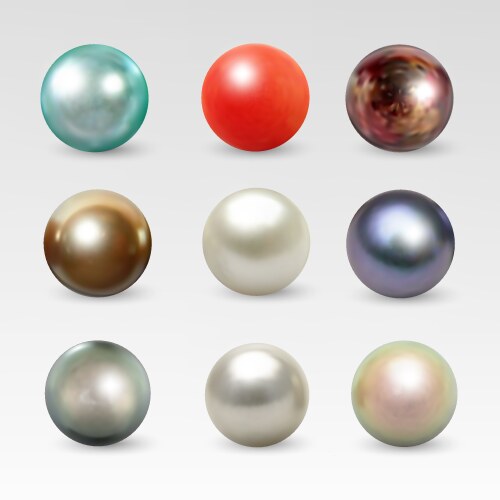 pearl realistic isolated on white background vector