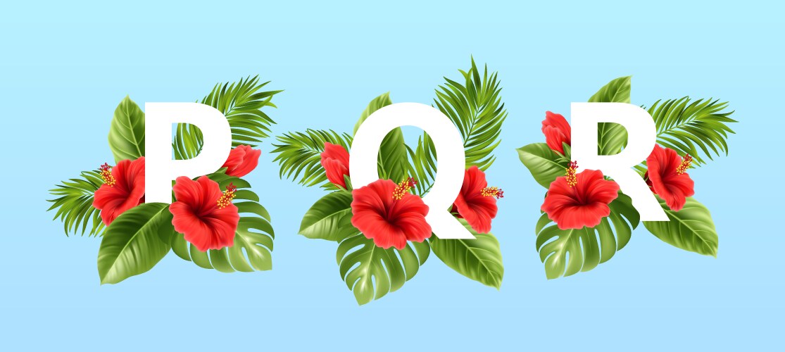 P q r letters surrounded summer tropical leaves vector image