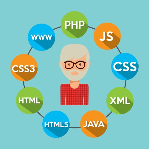 Software programmer vector image