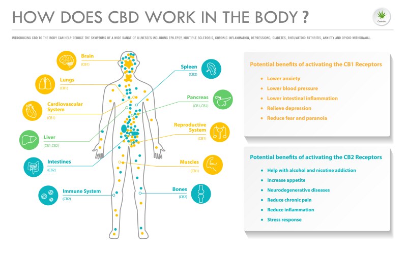 How Does it Work Vector Images (21)