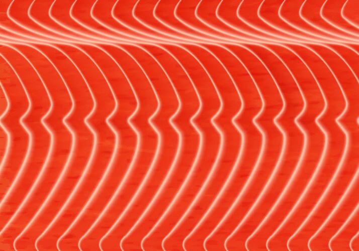 Red salmon meat cut seamless background texture Vector Image