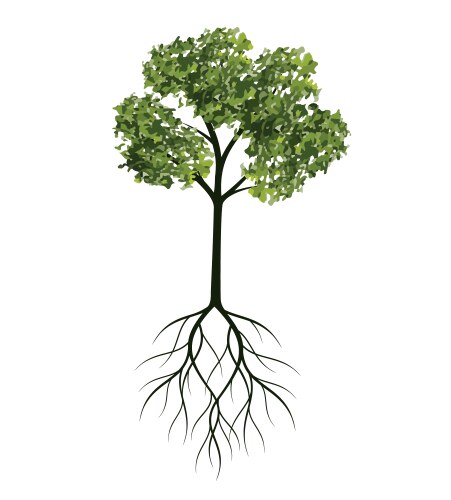 Green tree with roots outline vector image