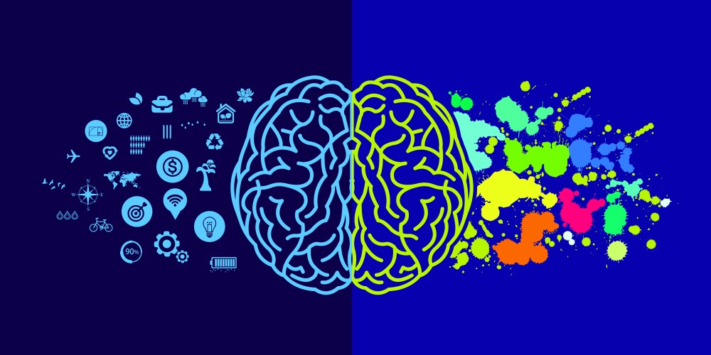 Colorful human brain Royalty Free Vector Image