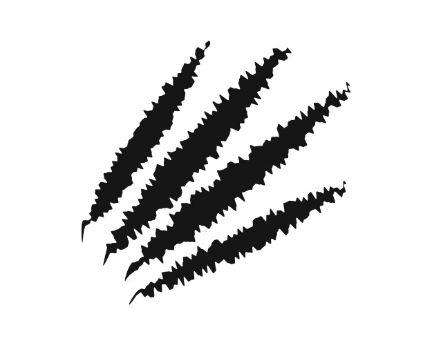 Scratch claw marks bear wolf toger or panther Vector Image