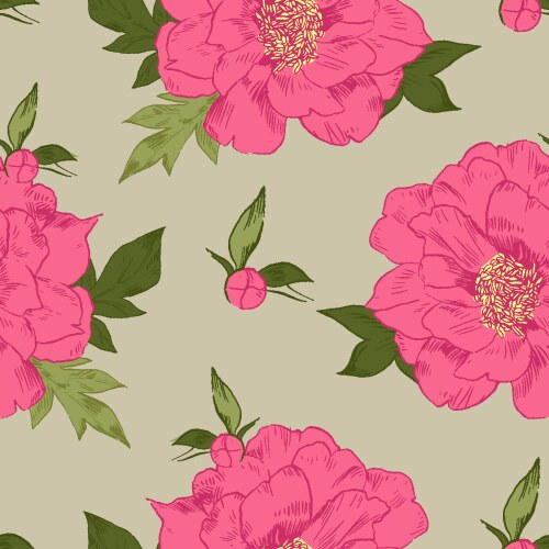 Hand-drawing peonies graphic flowers Vector Image