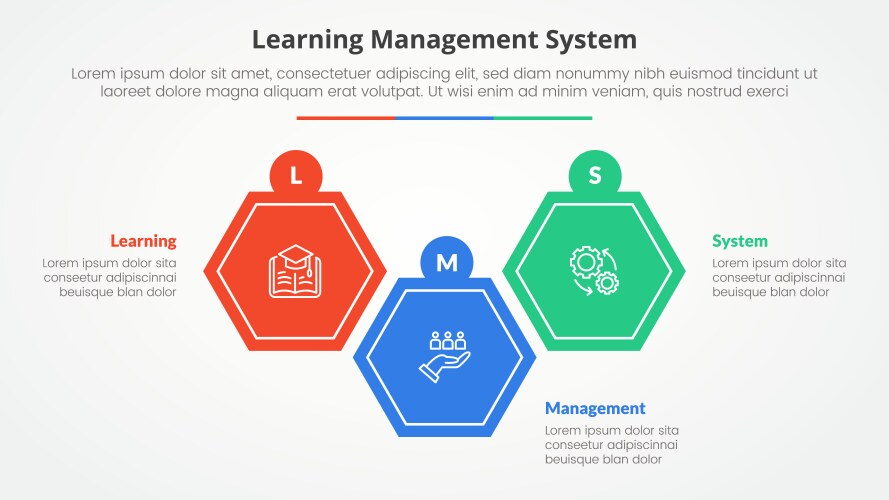 lms learning management system infographic vector image