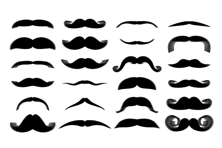 Set mustaches isolated on white background vector image