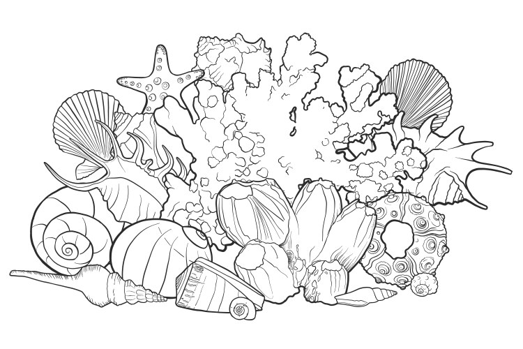 Seashells engraved icons Royalty Free Vector Image