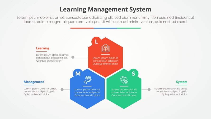 lms learning management system infographic vector image