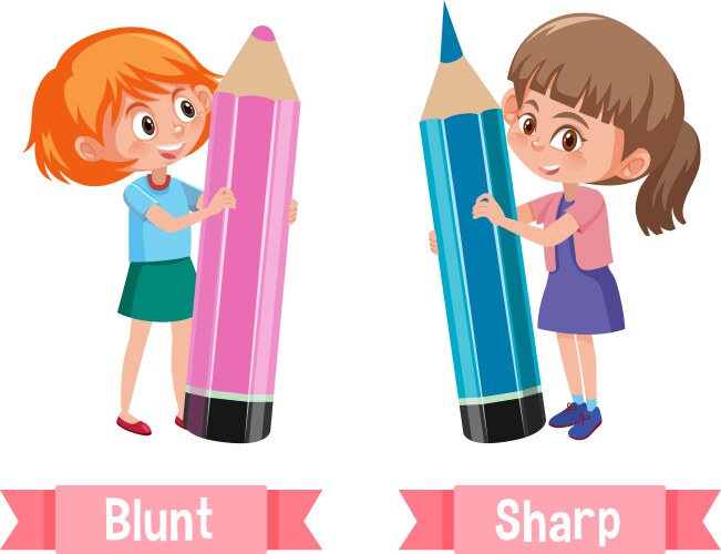 Opposite english words blunt and sharp vector image