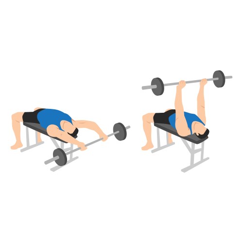 Incline barbell bench press exercise Royalty Free Vector