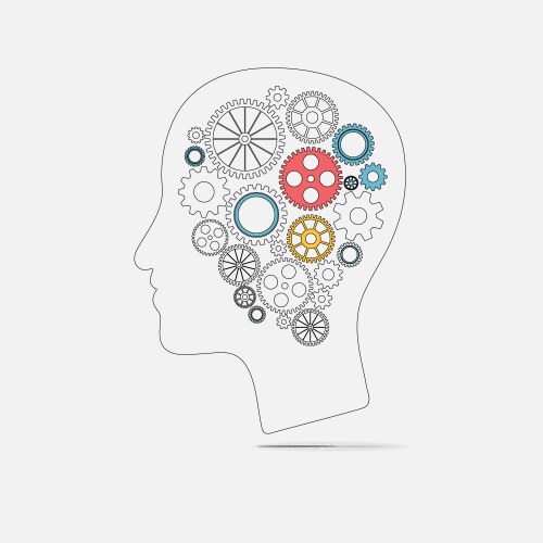 Human brain side view Royalty Free Vector Image