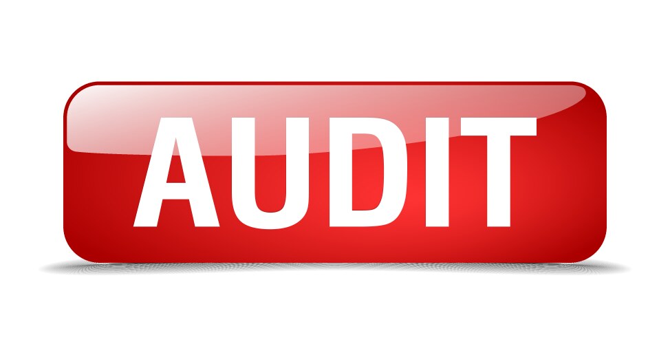 Audit red square 3d realistic isolated web button vector image