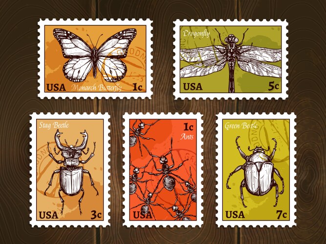 Insect Postage Stamps Sketch Vector Image