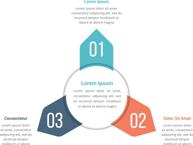 Circle infographics template with three elements vector image