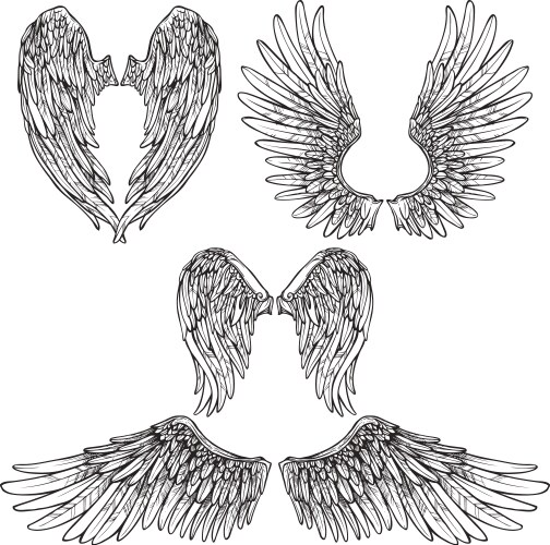 Heraldic wings set Royalty Free Vector Image - VectorStock