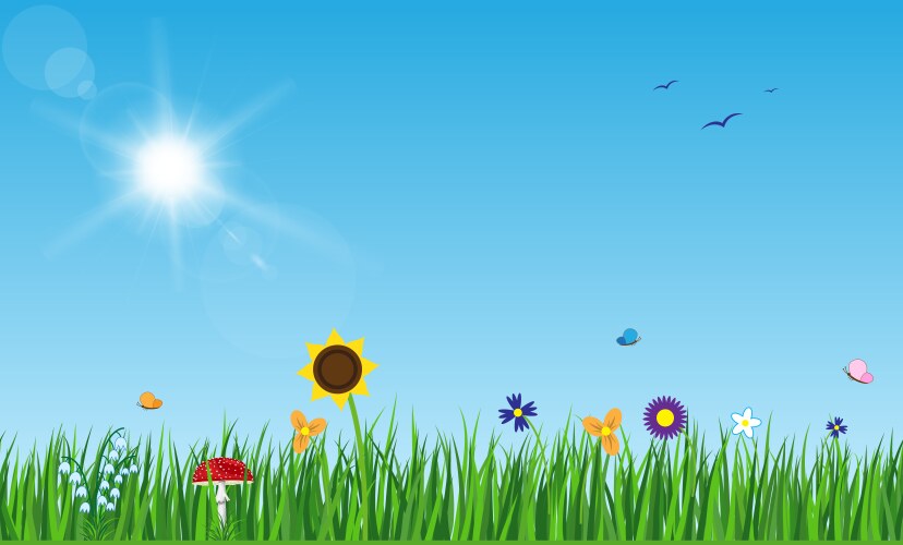 Spring is coming green field flowers sky Vector Image