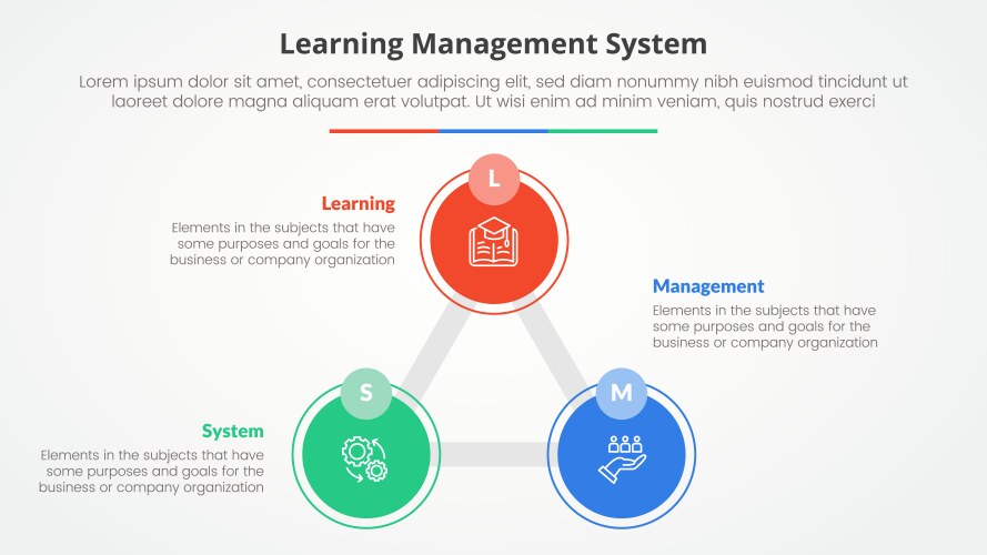 lms learning management system infographic vector image