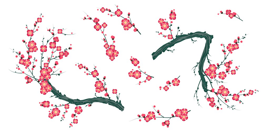 Flowering branch of sakura eps 10 Royalty Free Vector Image