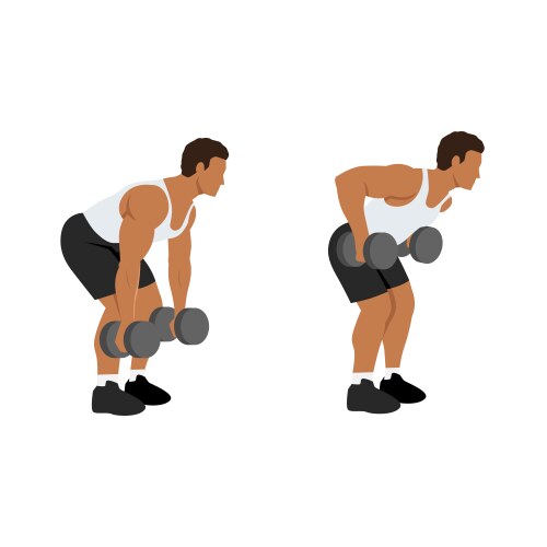 Man doing standing bent over cable row exercise Vector Image