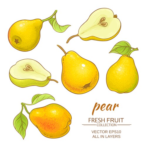 Bored pear set Royalty Free Vector Image - VectorStock