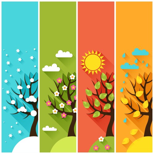 Set of seasons icons winter spring summer autumn Vector Image
