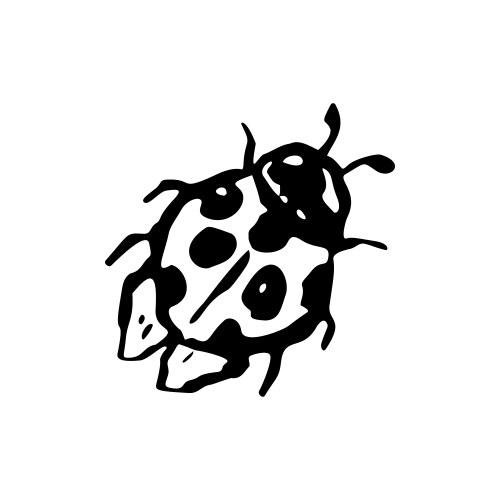 Black & White Ladybug Sketch Vector Image