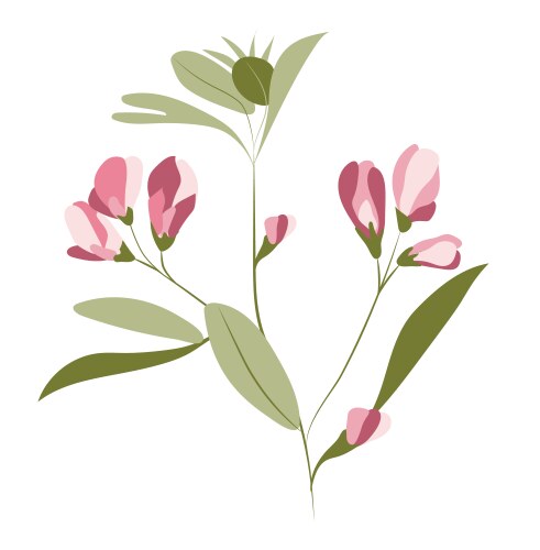 Abstract pink pea flower on twig in flat design vector image