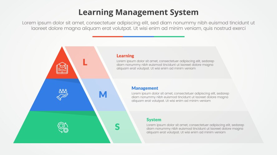 Lms learning management system infographic Vector Image