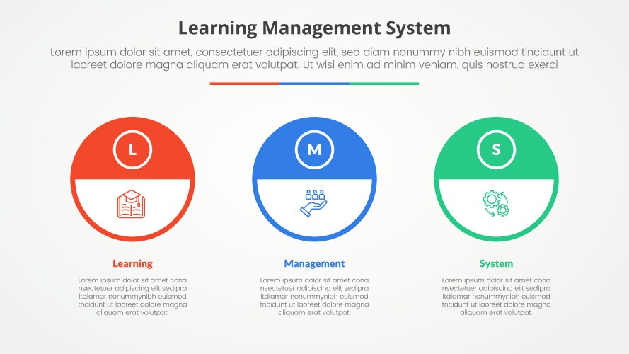 Lms learning management system infographic vector image