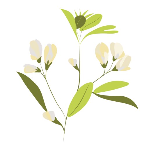 Abstract white pea flowers on twig in flat design vector image