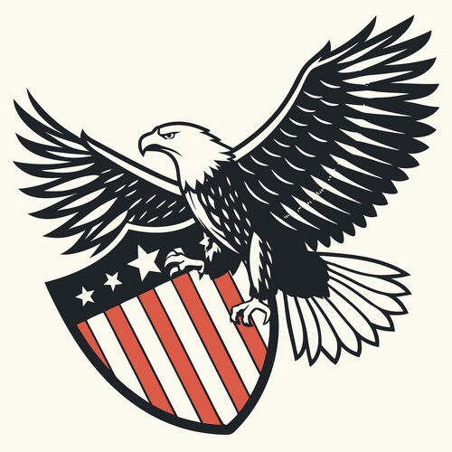 Bald Eagle with Open Wings – Royalty-Free Vector | VectorStock