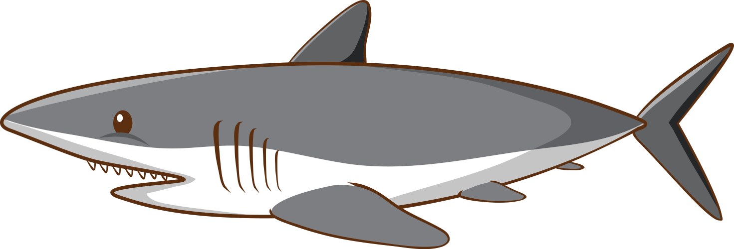 Great white shark on background vector image