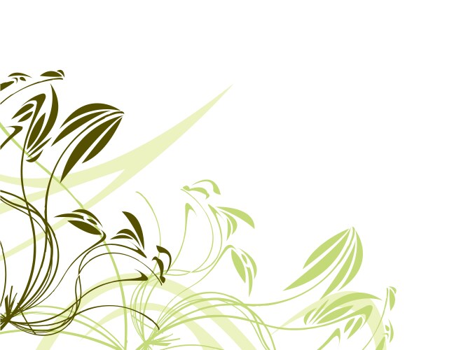 Green floral vector image