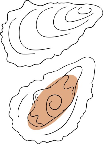 Cartoon Oyster Illustration Vector Image