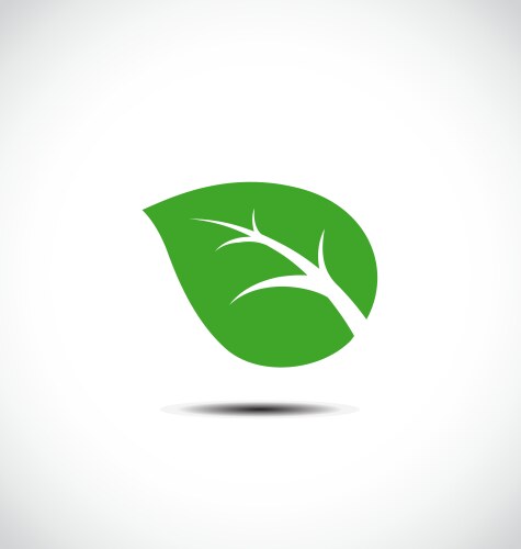 Simple green leaf flat style Royalty Free Vector Image