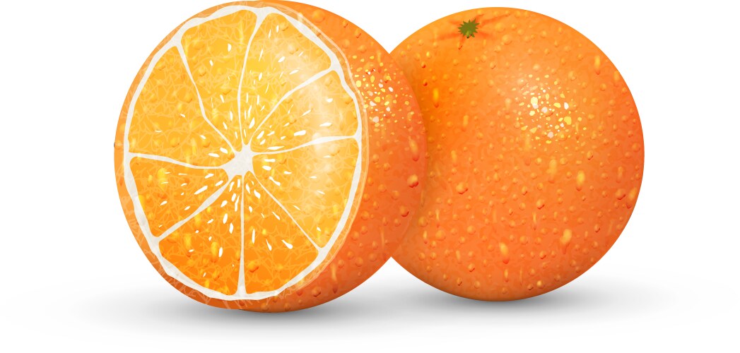 Ripe oranges Royalty Free Vector Image - VectorStock