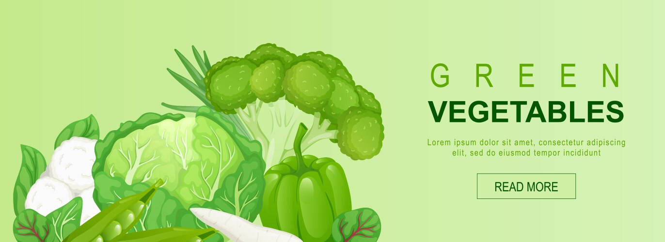 Organic vegetables food banner Royalty Free Vector Image
