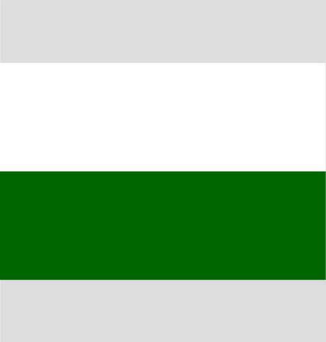 Styria flag vector image