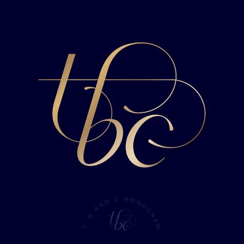 Gold b letter flying butterflies beauty logo Vector Image