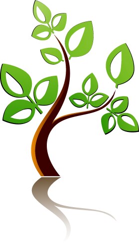 tree icon vector