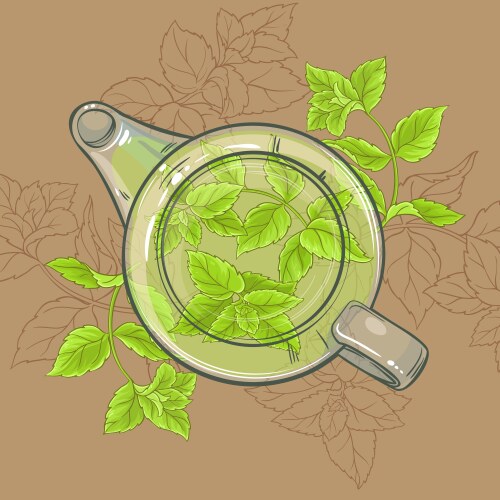 Peppermint Tea Vector Images (over 1,700)
